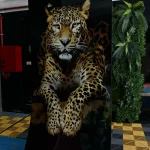 Placa decorativa Leopardo