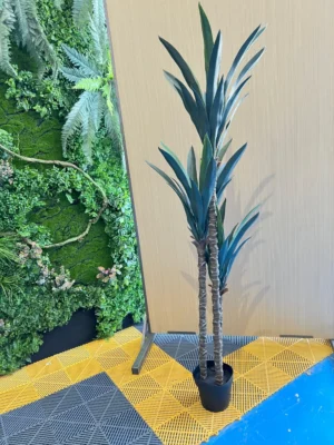 Árbol sisal