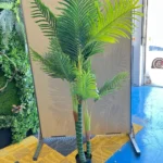 Árbol palmera