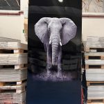 Placa decorativa Elefante