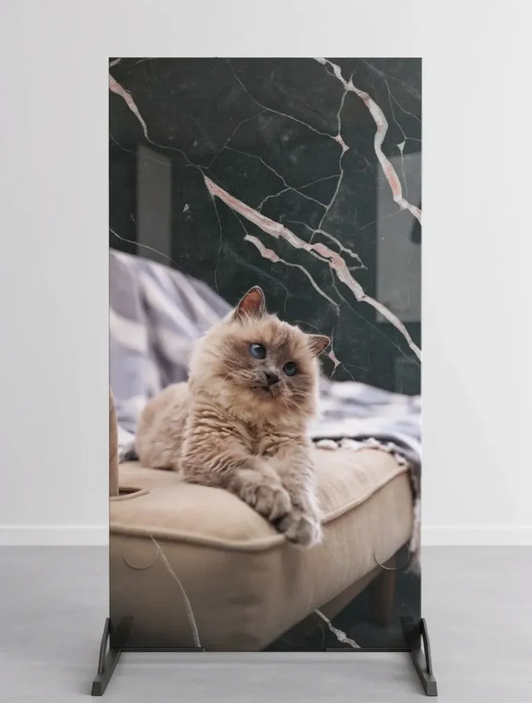 Placa decorativa personalizada de gato