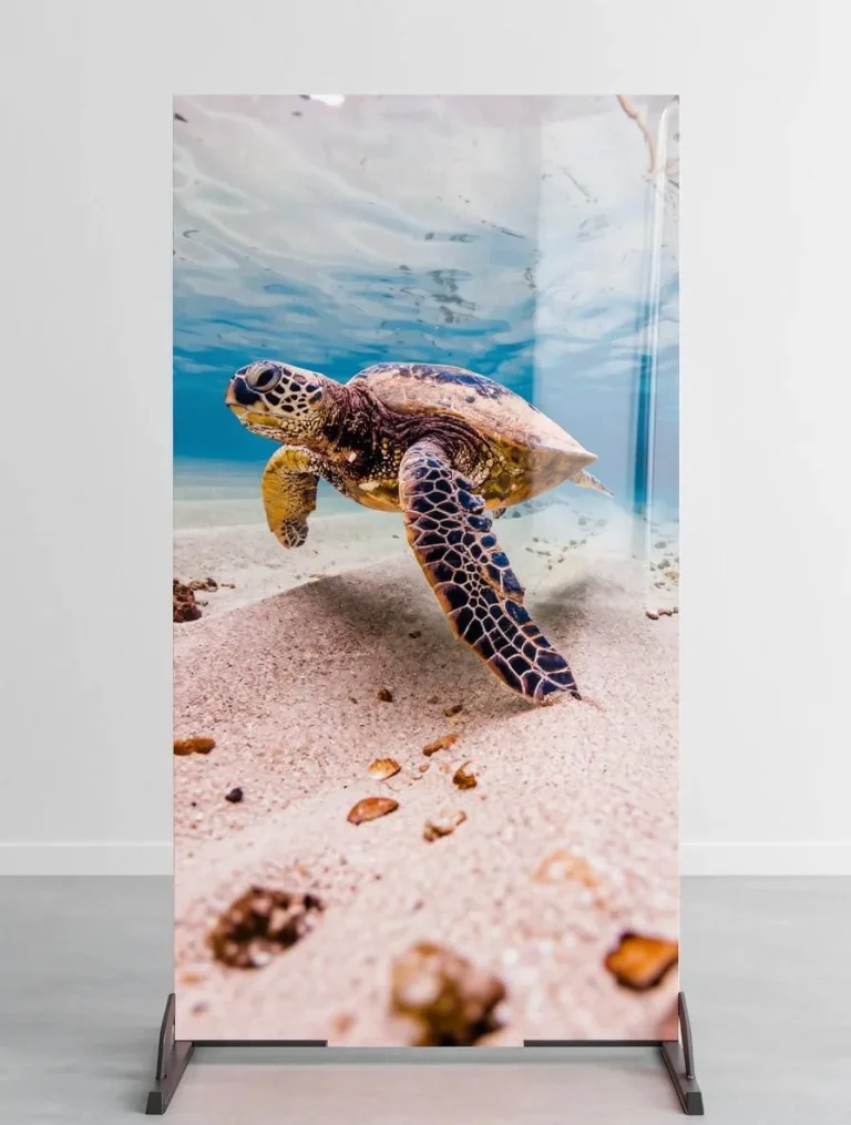 Placa decorativa personalizada de tortuga