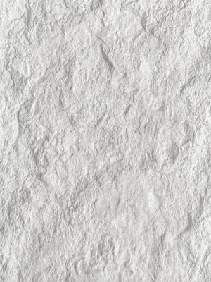 Paneles de piedra Flex Espuma Blanca